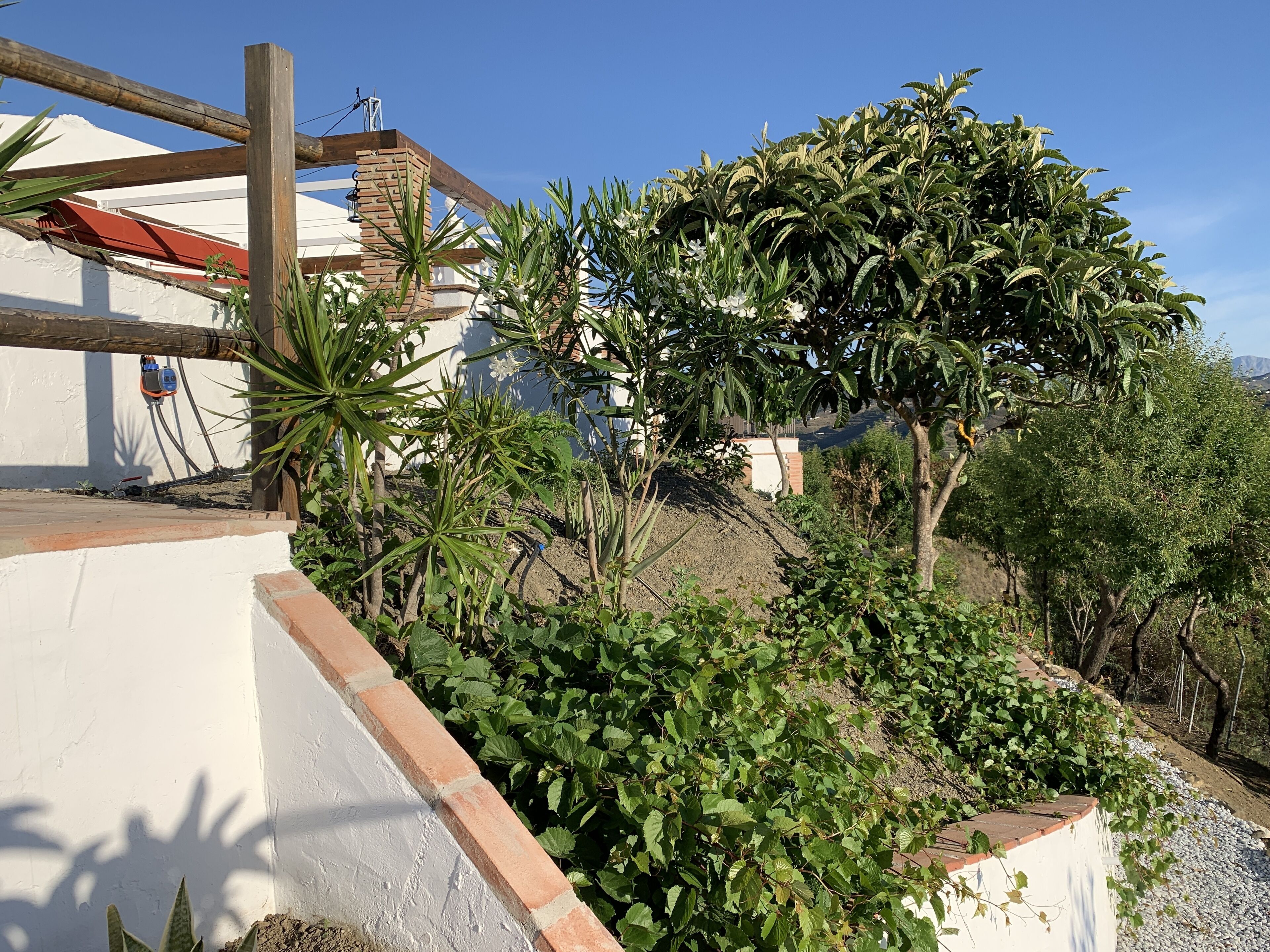 Photo - Casa Bambu Studios