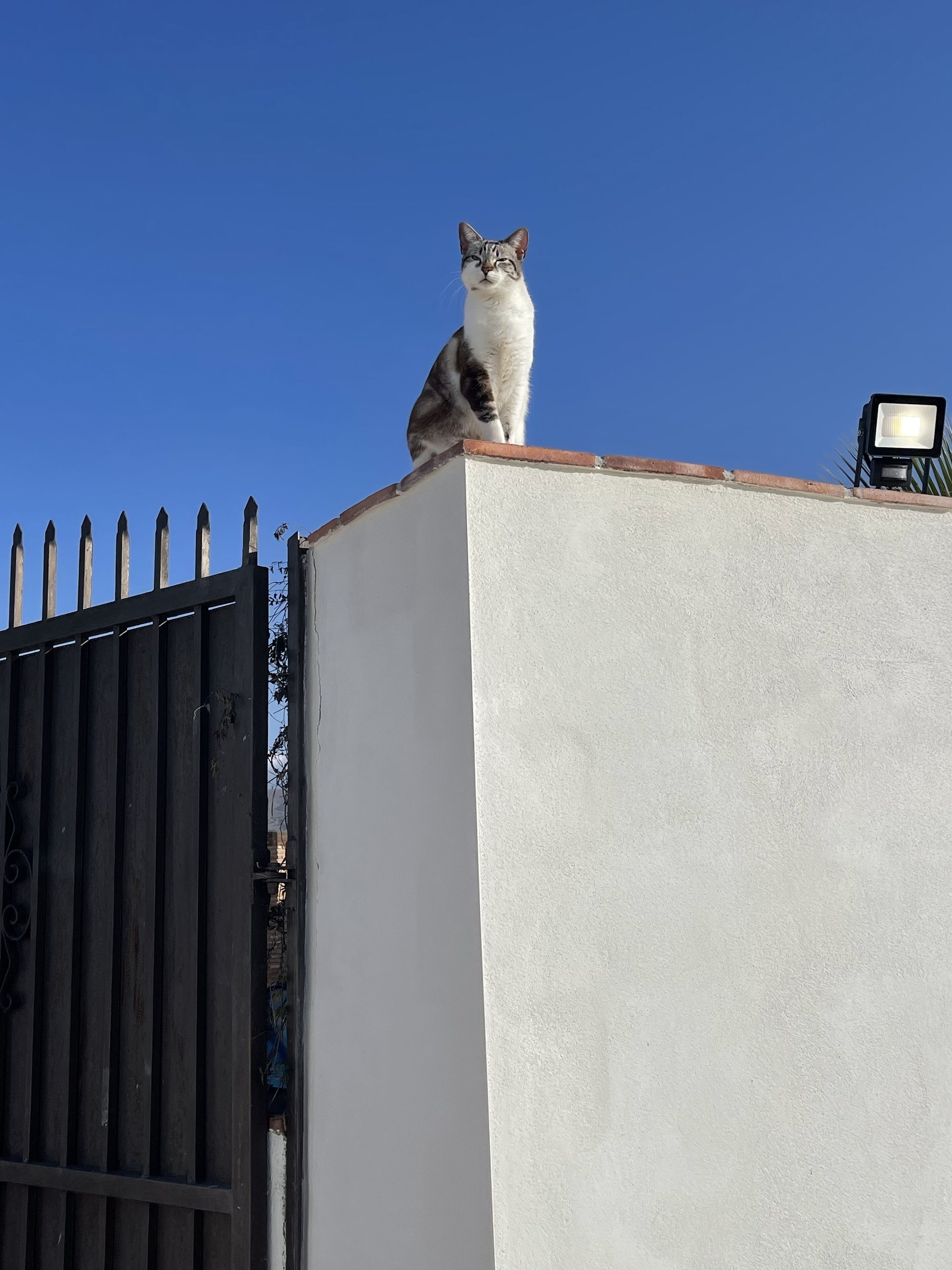 Photo - Casa Bambu Studios