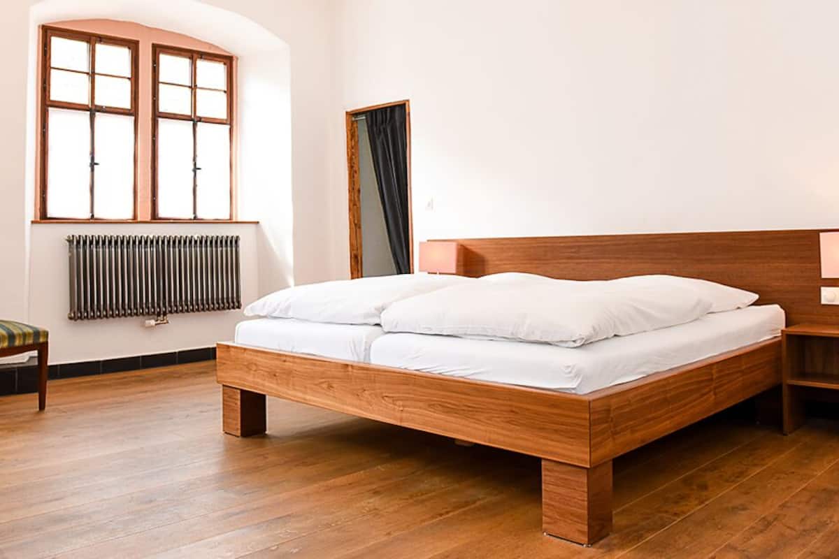 Habitación doble | Edredones de plumas, minibar, wifi gratis