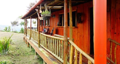 Bungalow in the jungle