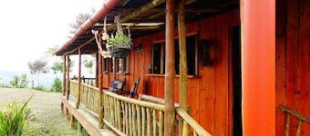 Bungalow in the jungle