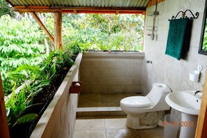 Towels, soap, toilet paper - Bungalow in the jungle (Turrialba)