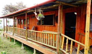 Eine Holzhütte mit Veranda, einer hängenden Pflanze und einem Fenster.