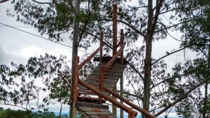 A wooden outdoor staircase with a handrail, surrounded by trees and grass. - LEASE, EVENTS, TIROLESA, ARVORISMO, CRAFTSMAN, 360 ° VIEWPOINT (Guaratinguetá)