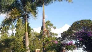 A clear blue pool with reflections of palm trees and a white fence in the background. - LEASE, EVENTS, TIROLESA, ARVORISMO, CRAFTSMAN, 360 ° VIEWPOINT (Guaratinguetá)