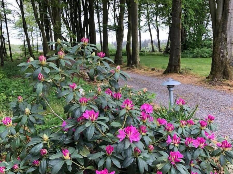 Un jardín con densos grupos de flores rosadas y un camino de grava.