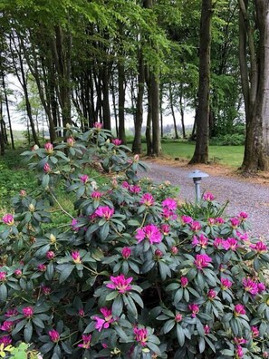 Garden - Agerfeld Gl Skole (Holstebro)