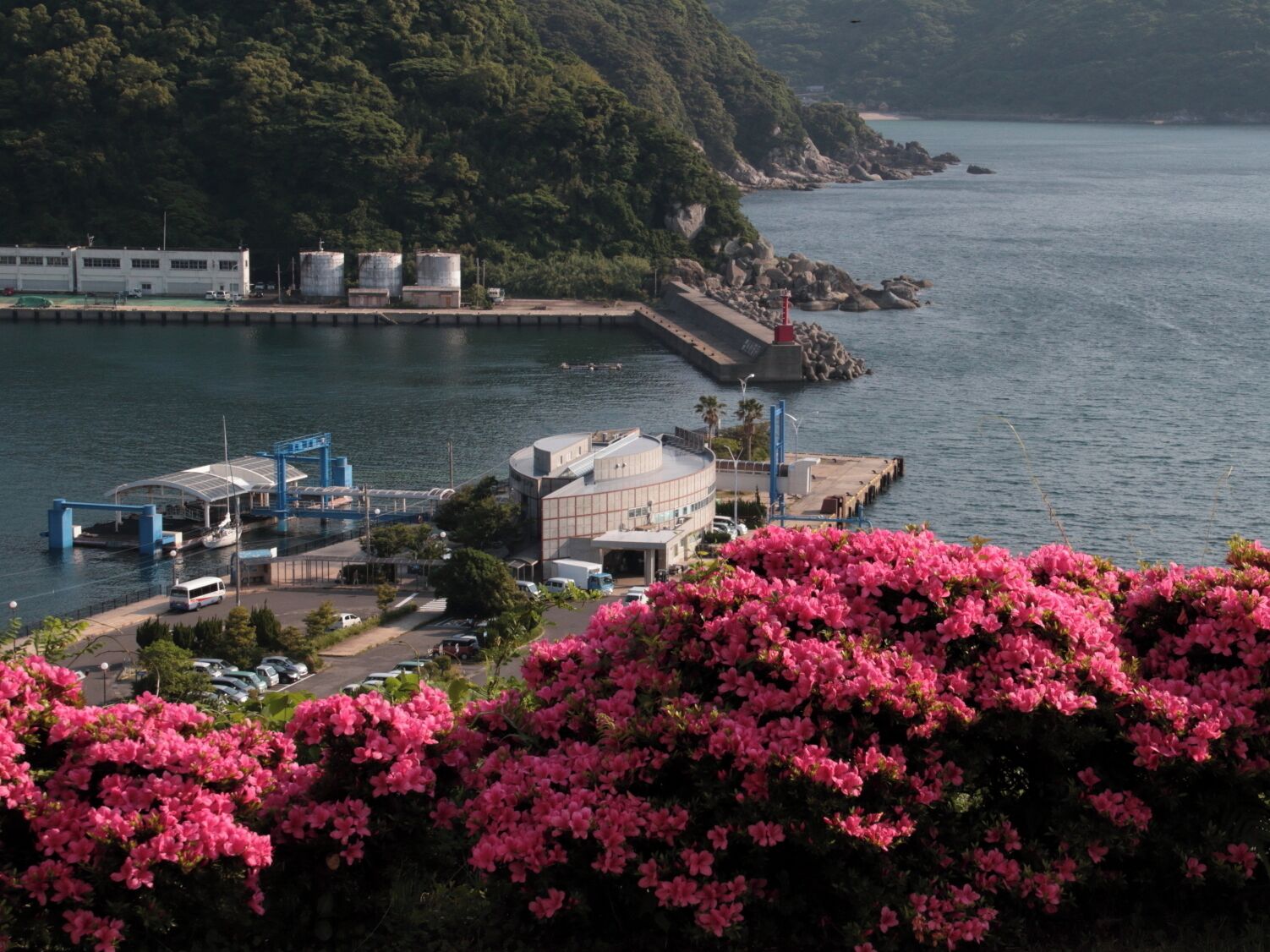 Zona costera con un puerto deportivo, un edificio grande de techo curvo y arbustos florecientes de color rosa en primer plano.