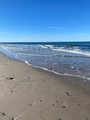 Hier macht man Urlaub - familienfreundliche Ferienwohnung am Kap Arkona