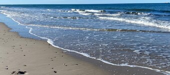 Here you go on vacation - family-friendly apartment on Cape Arkona