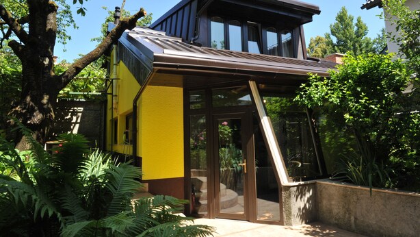 A modern house with a glass door entrance, surrounded by lush greenery and a large tree.