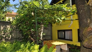 A garden with a bench, a yellow building, and a tree.