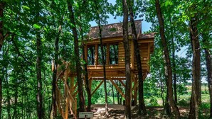 Tree House (Buzet) | Terrace/patio - Domaine Roccas (Port-Sainte-Marie)