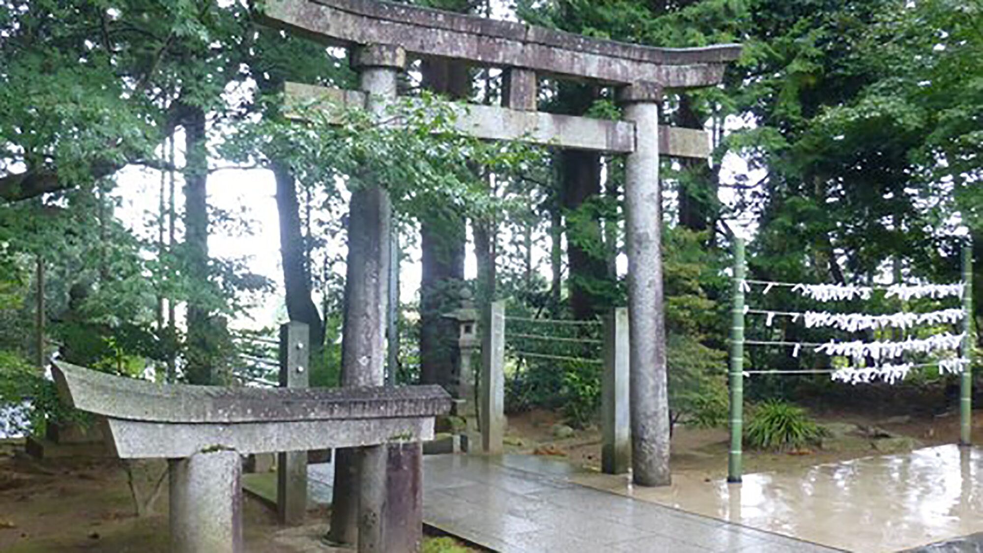 Una estructura tradicional de torii japonés con un sendero de piedra que lo atraviesa, rodeado de follaje.