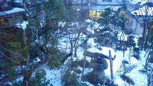 A snowy outdoor area with trees and a building in the background. - Deyu Onsen Oishiya Ryokan (Agano)