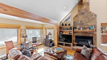 TV, fireplace, DVD player, video library