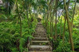 Una escalera de piedra rodeada de helechos verdes y palmeras.