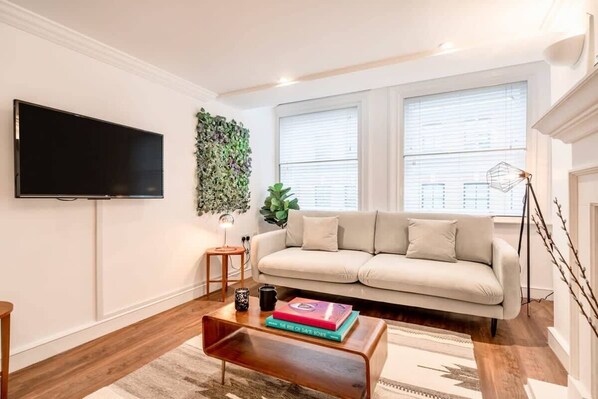 Fernseher, Arbeitsbereiche