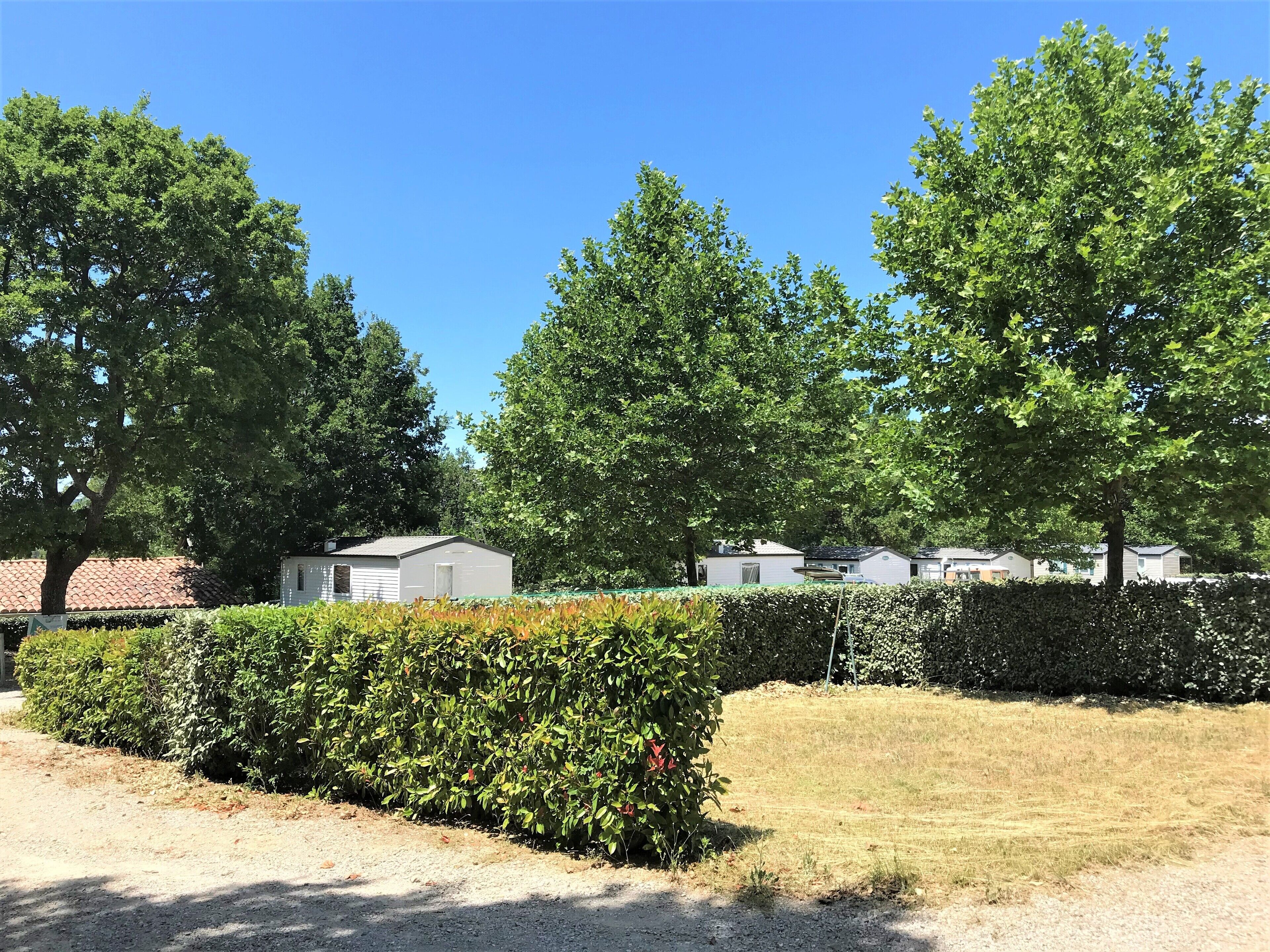 A row of mobile homes with a well-maintained hedge and trees in the background.