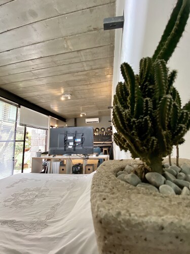 Studio apartment in The Heart of CITY BELL