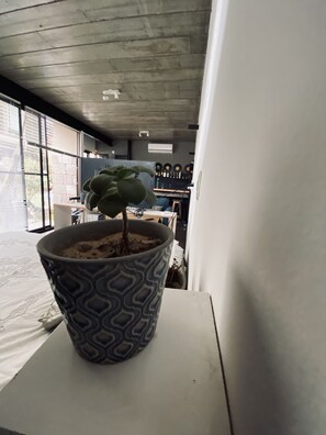 Interior - Studio apartment in The Heart of CITY BELL (City Bell)