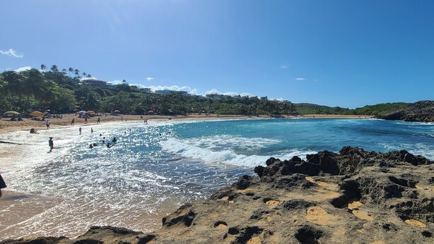 A beach with clear blue water, rocky shoreline, and palm trees. -  HEART OF SAN JUAN (Santurce)