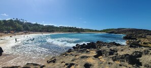 A beach with clear blue water, rocky shoreline, and palm trees.