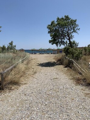 En la playa, arena blanca, camas de playa, sillas reclinables de playa