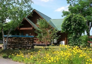 BBQ/picnic area