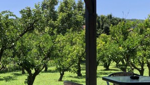 Un espace extérieur aménagé avec des chaises et une table en osier, entouré d’arbres et d’herbe verdoyants.