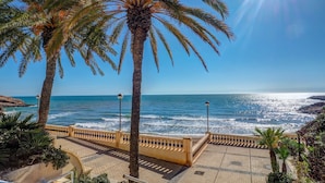 Una passejada marítima amb palmeres, cel blau i l'oceà.