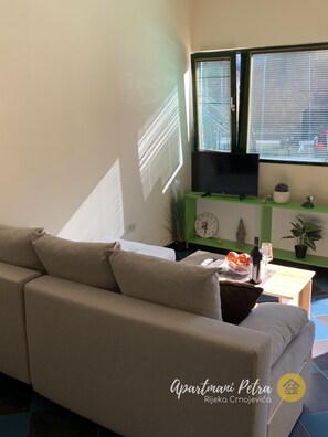 Living area - "Apartman Maksim!!!" (Rijeka Crnojevica)