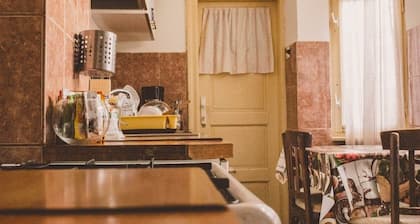 The castle Brasov RO