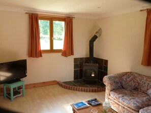 TV, fireplace, DVD player, table tennis