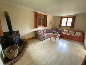TV, fireplace, DVD player, ping pong