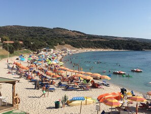 A beach with numerous umbrellas and sun loungers, a sandy shore, and a clear view of the sea. - Affittimoderni Isola Rossa Borgo - Irul06 (Trinità d'Agultu e Vignola)