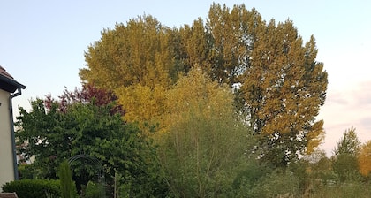 Maison à 15 km de Strasbourg <br>Au bord d'un étang situation calme sans vis à vis<br>
