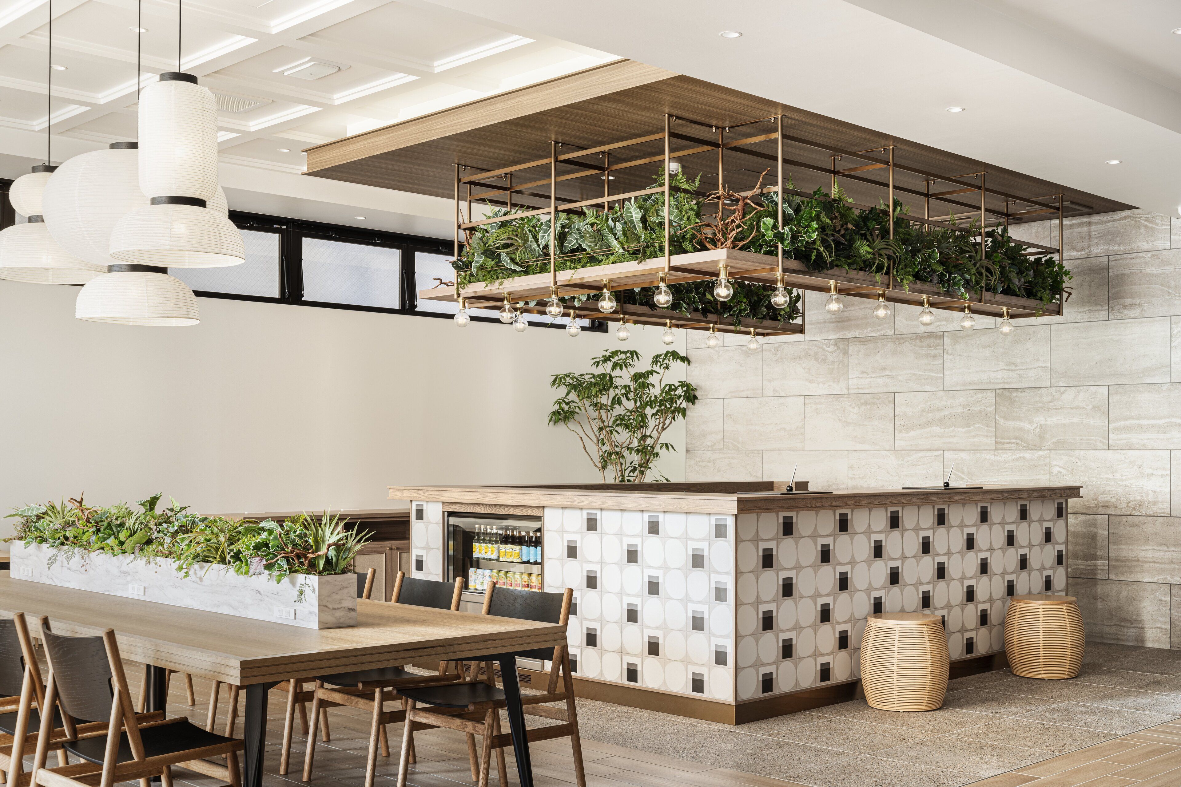 Une cuisine moderne avec un îlot central en bois, des luminaires suspendus et une étagère intégrée pour les plantes.