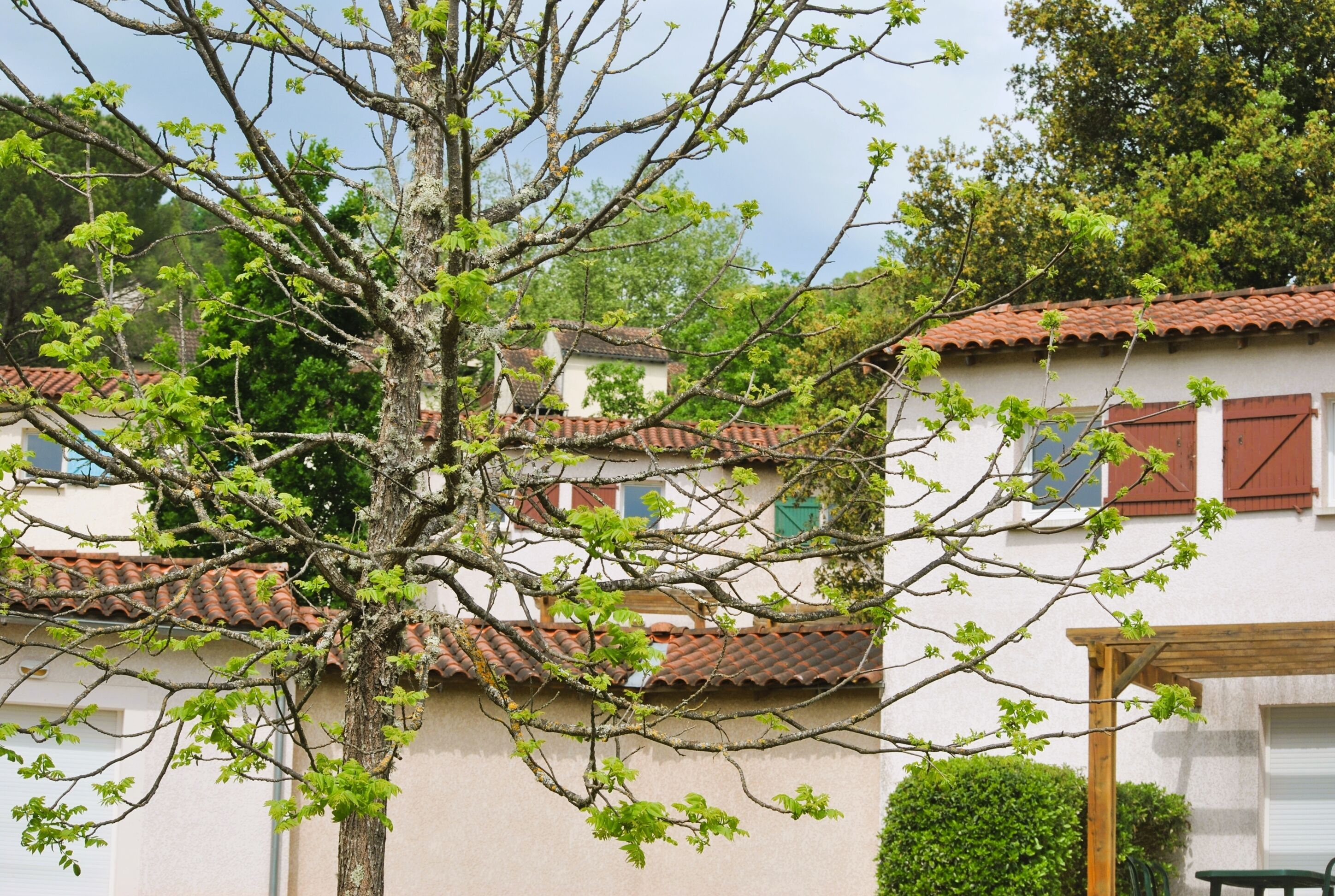 Un edifici amb teulada de rajola i un arbre al davant.