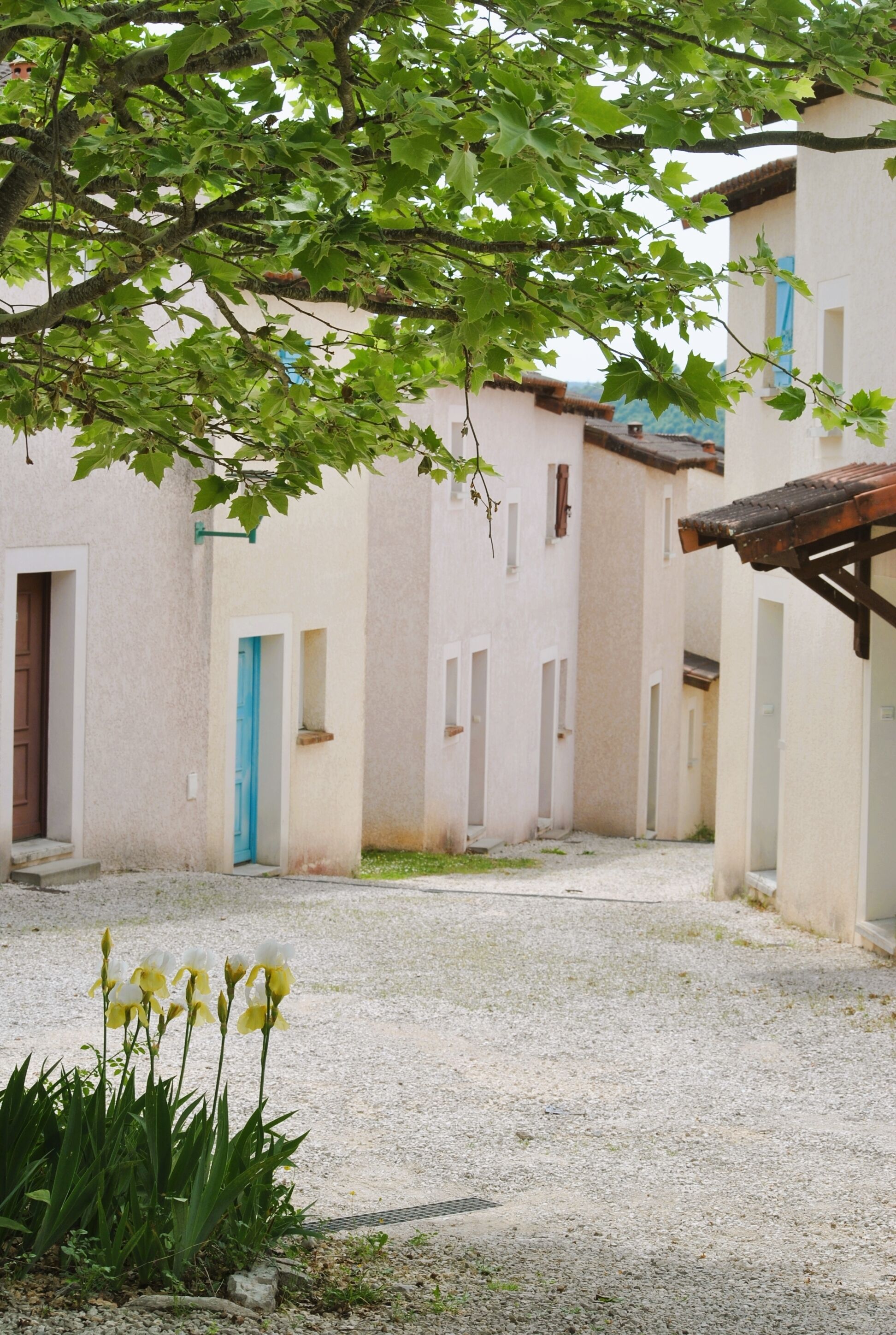 A courtyard with a gravel path, a tree with green leaves, and a building with a blue door.