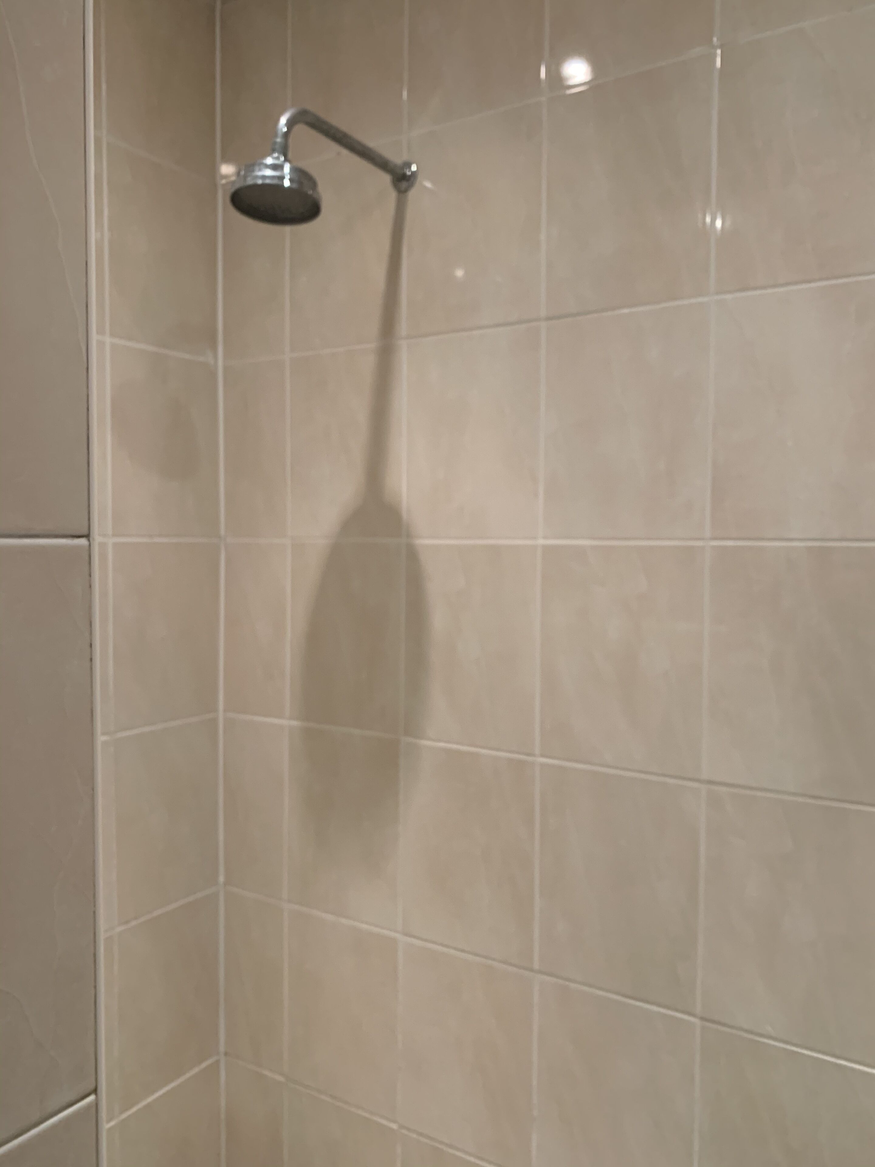 Un área de ducha con azulejos y un cabezal de ducha manual.