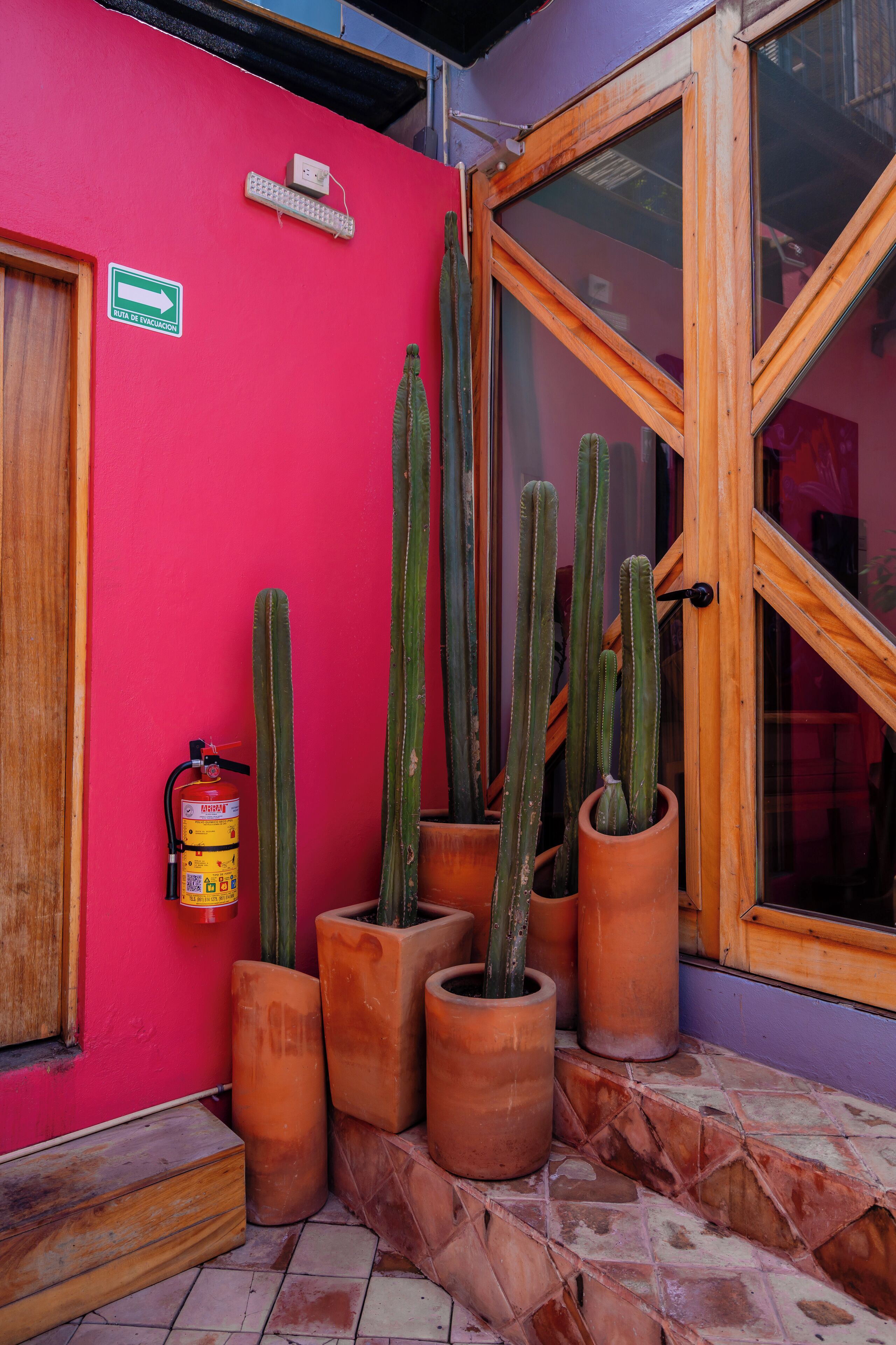 Foto - Hotel Boutique CASA DE ARTE