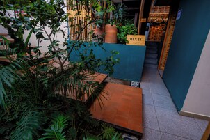 A narrow indoor space with a blue wall, a wooden staircase, and potted plants.