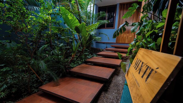 A pathway with steps leading through a lush indoor garden area. -  Hotel Boutique Casa de Arte (Oaxaca)