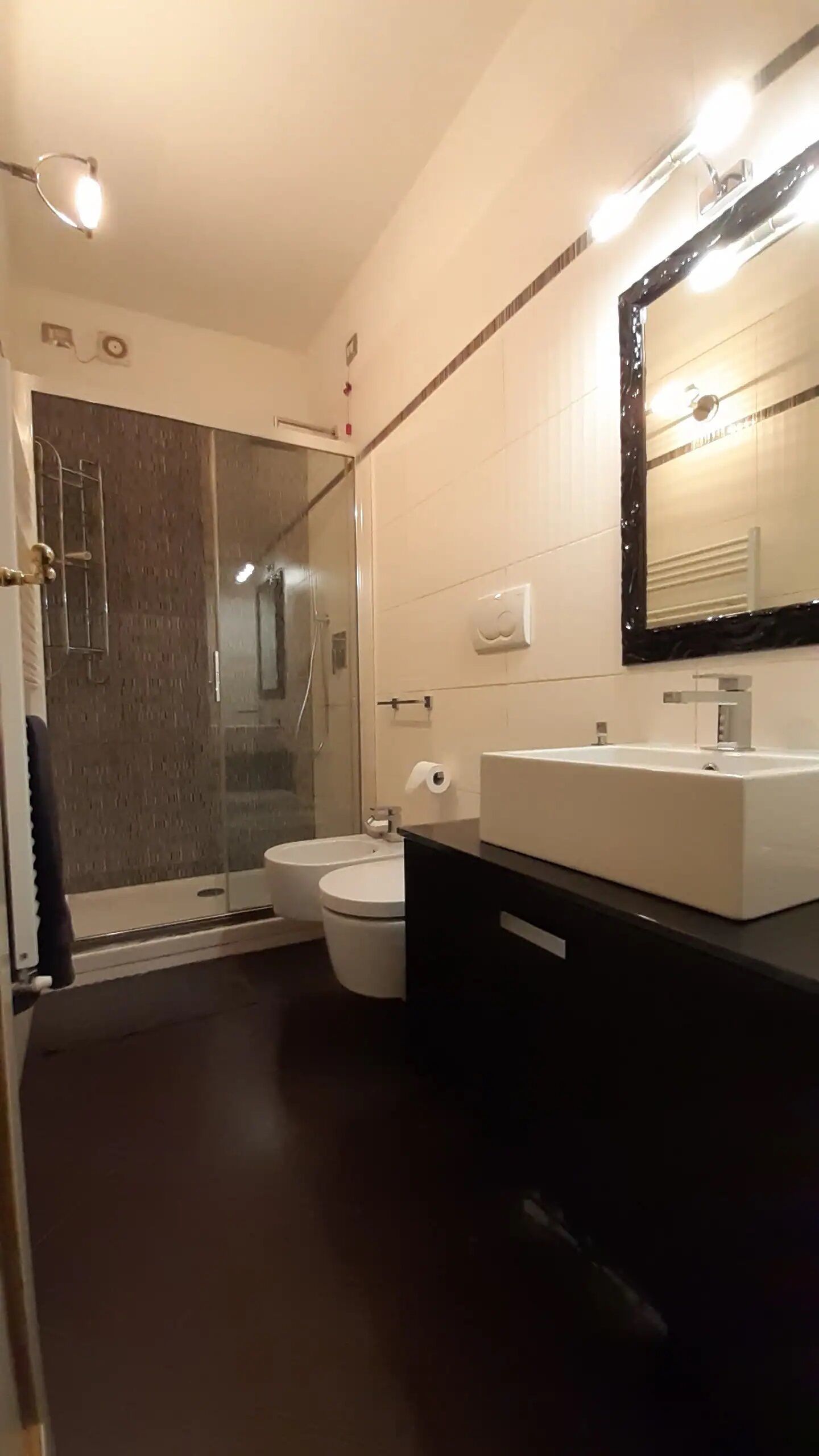 Dusche, Haartrockner, Bidet, Handtücher