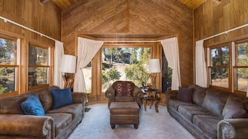 TV, fireplace, DVD player