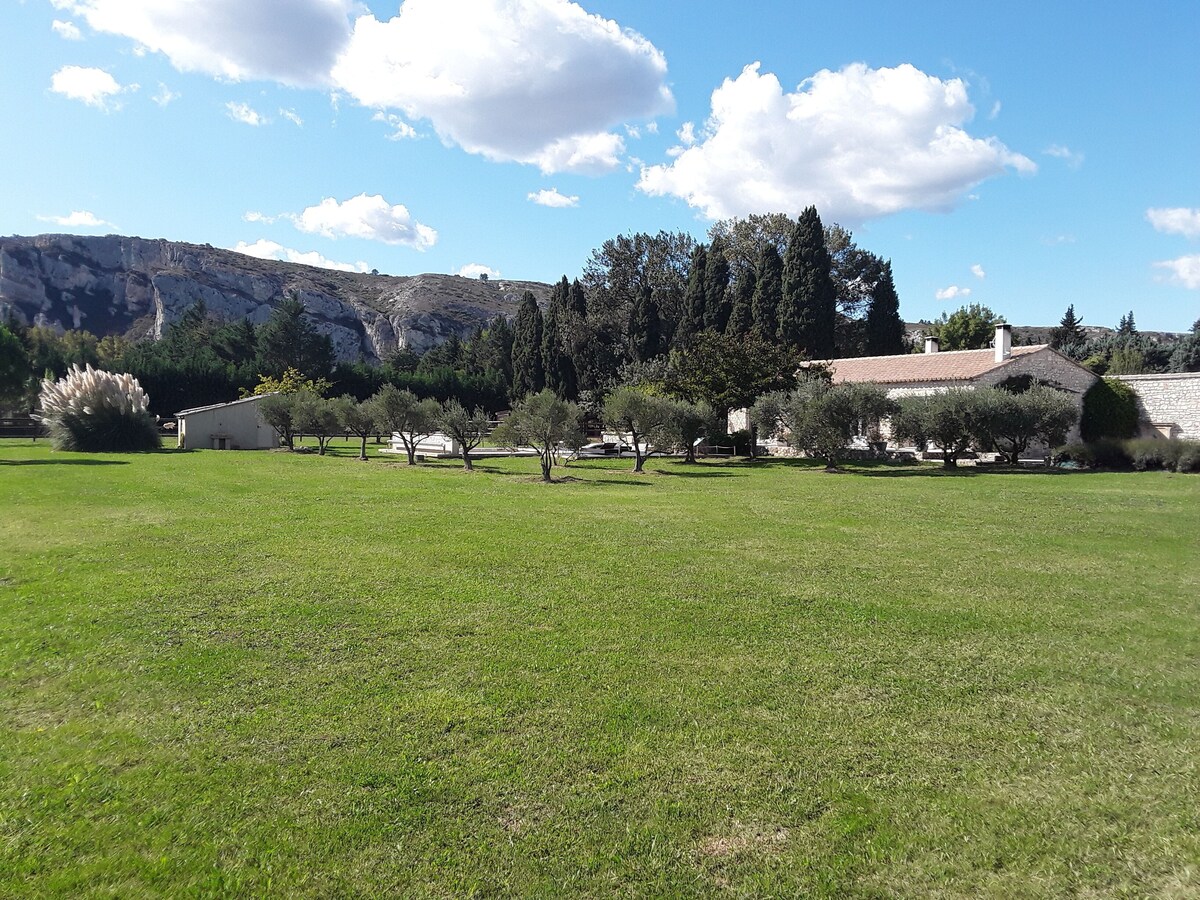 Imagen de perfil del propietario o de la propietaria