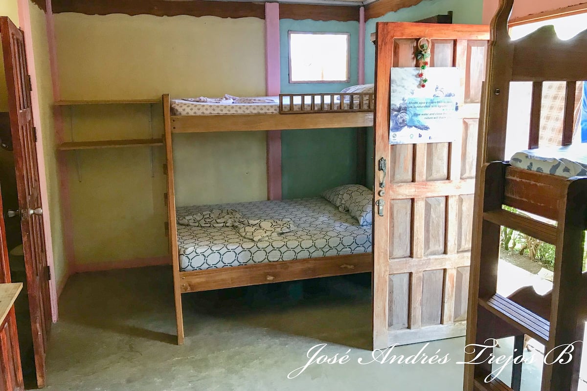 Une chambre avec un lit superposé, une fenêtre et une porte.