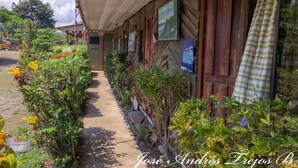 A building with a covered walkway, surrounded by lush greenery and a variety of plants. - Cabinas Manawada (Puerto Jiménez)