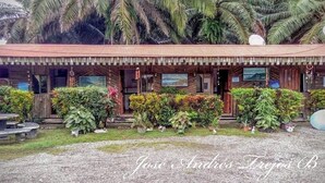 A rustic wooden building with a corrugated metal roof, surrounded by lush tropical plants. - Cabinas Manawada (Puerto Jiménez)